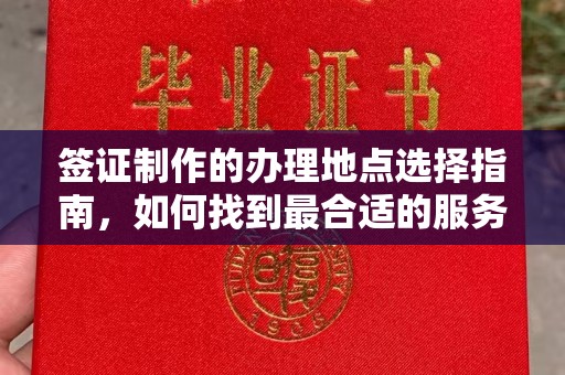 光泽签证制作的办理地点选择指南，如何找到最合适的服务点