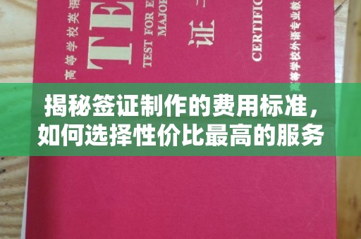 光泽揭秘签证制作的费用标准，如何选择性价比最高的服务？