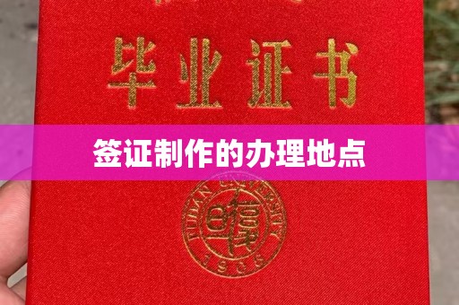 光泽签证制作的办理地点