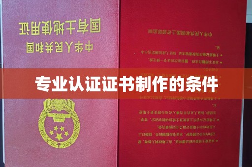 光泽专业认证证书制作的条件